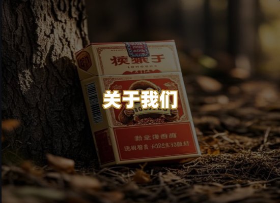 关于我们